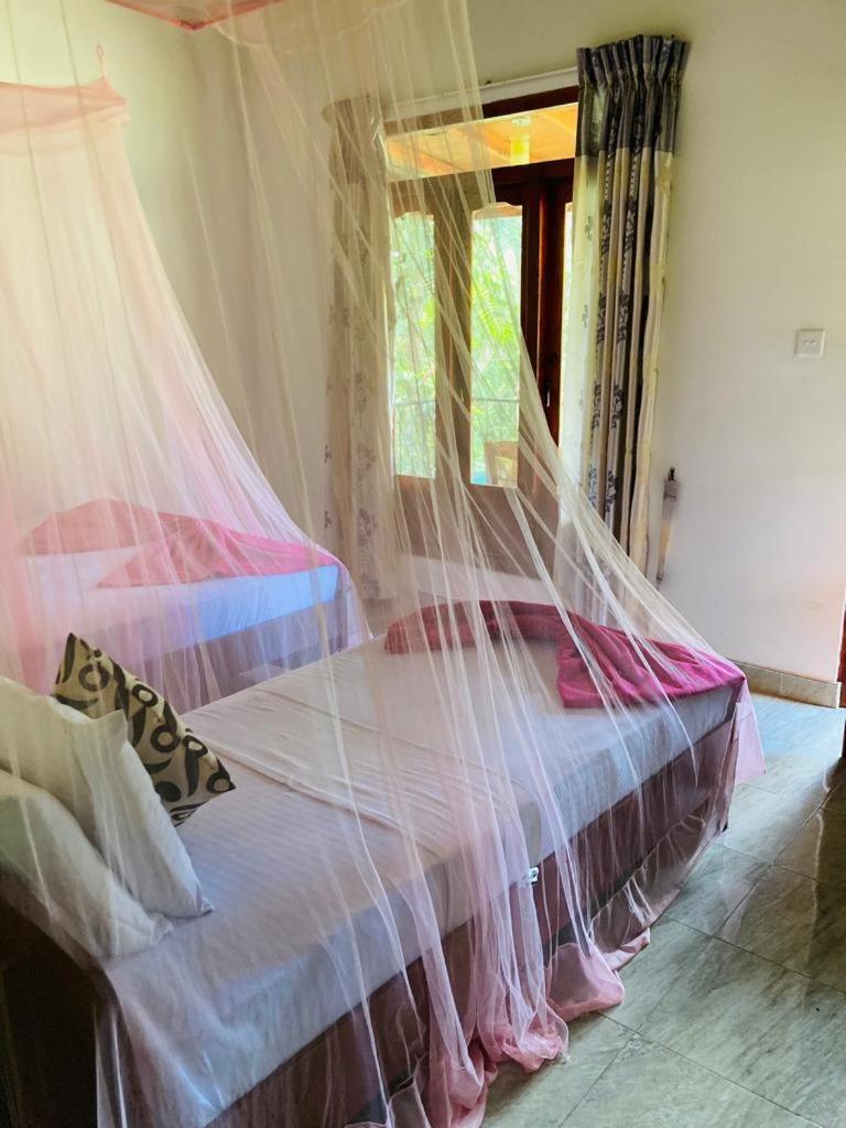 Bed and Breakfast Silent Nest Елла Екстер'єр фото